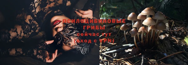 ПСИЛОЦИБИНОВЫЕ ГРИБЫ Бронницы