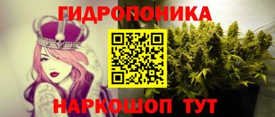 ГАЛЛЮЦИНОГЕННЫЕ ГРИБЫ Можга