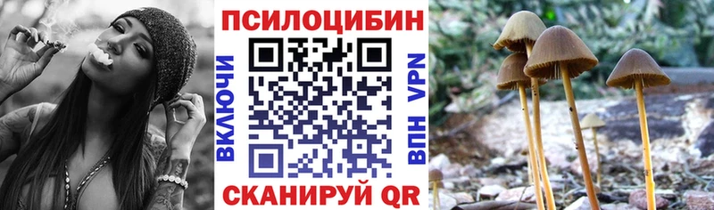 Псилоцибиновые грибы MAGIC MUSHROOMS  MEGA ONION  Волоколамск 
