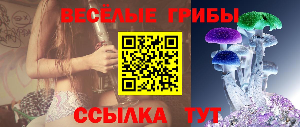 Псилоцибиновые грибы Cubensis  Вход с VPN  закладки  Волоколамск 